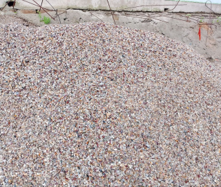 photo_2025-08-20-1.19.51-PM