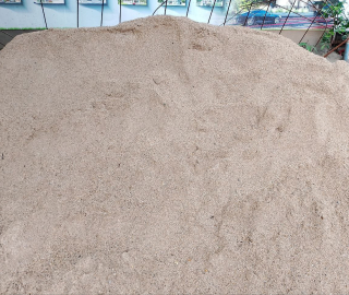 photo_2025-08-20-1.19.58-PM